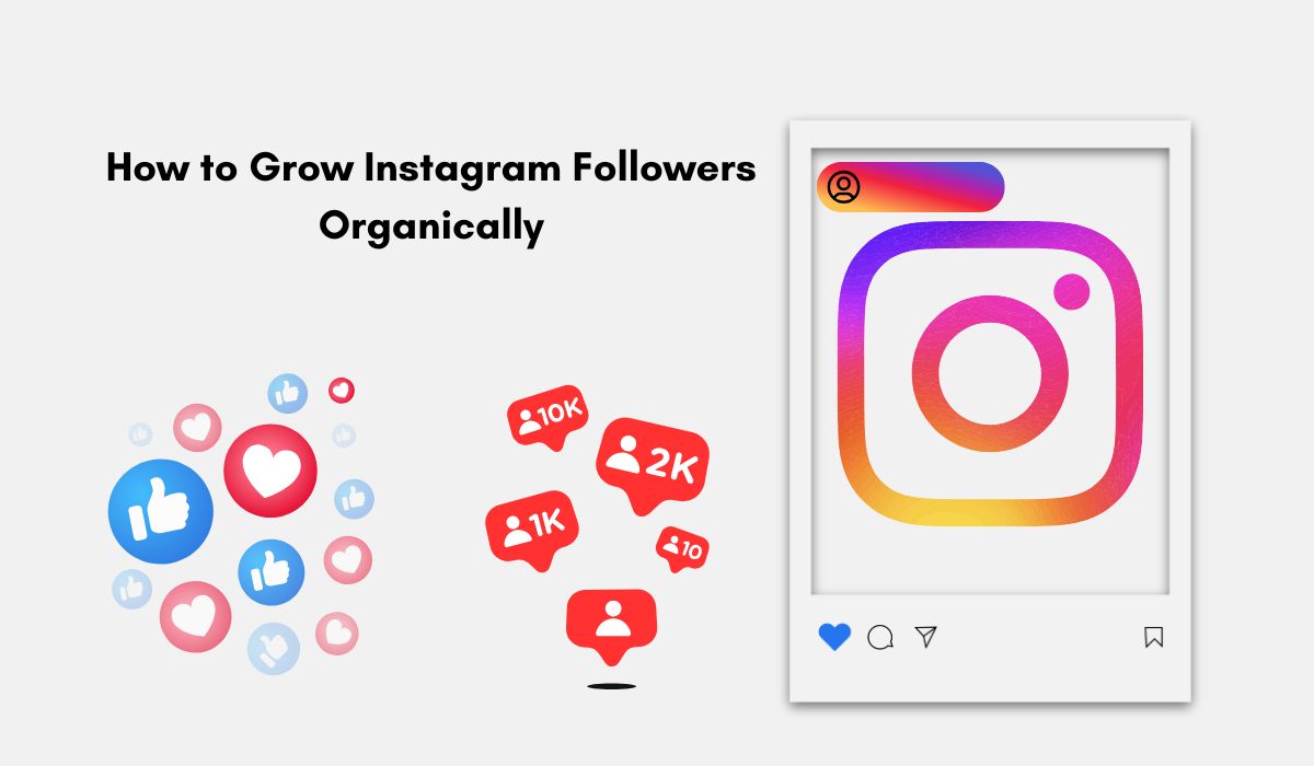 How to Grow Instagram Followers Organically